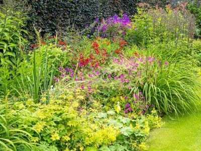 Garden Services Berkshire and Wiltshire