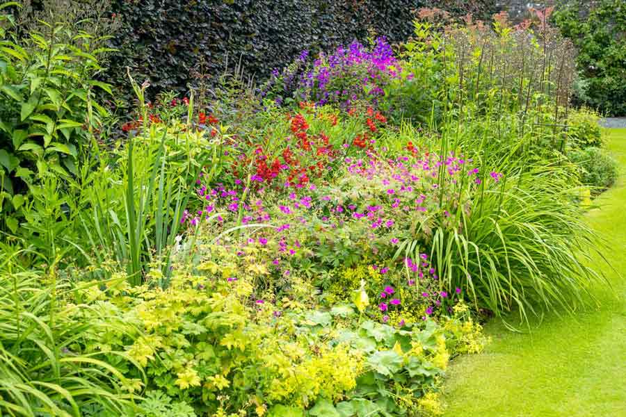 Garden Services Berkshire and Wiltshire