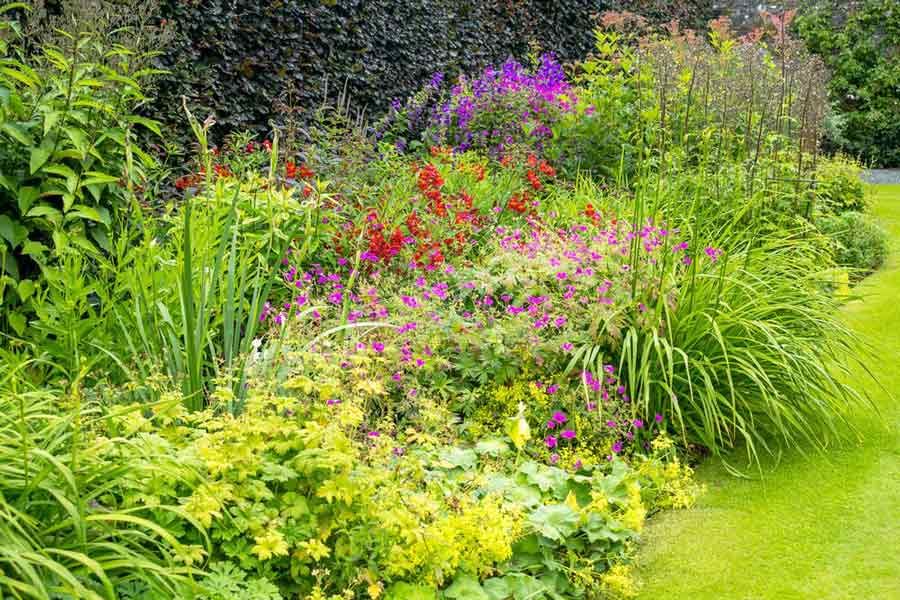 Garden Services Berkshire and Wiltshire