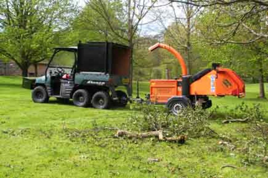 Tree Shredding